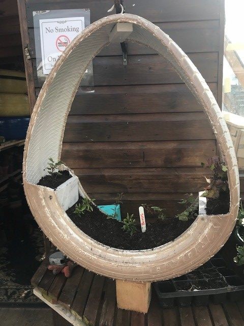 painted tyre turned planter 