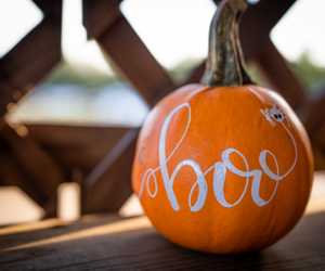 Pumpkins decorated with affordable paint